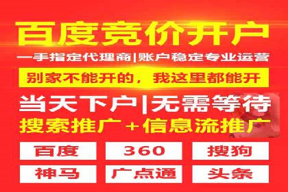 SEM外包服务优势案例分析